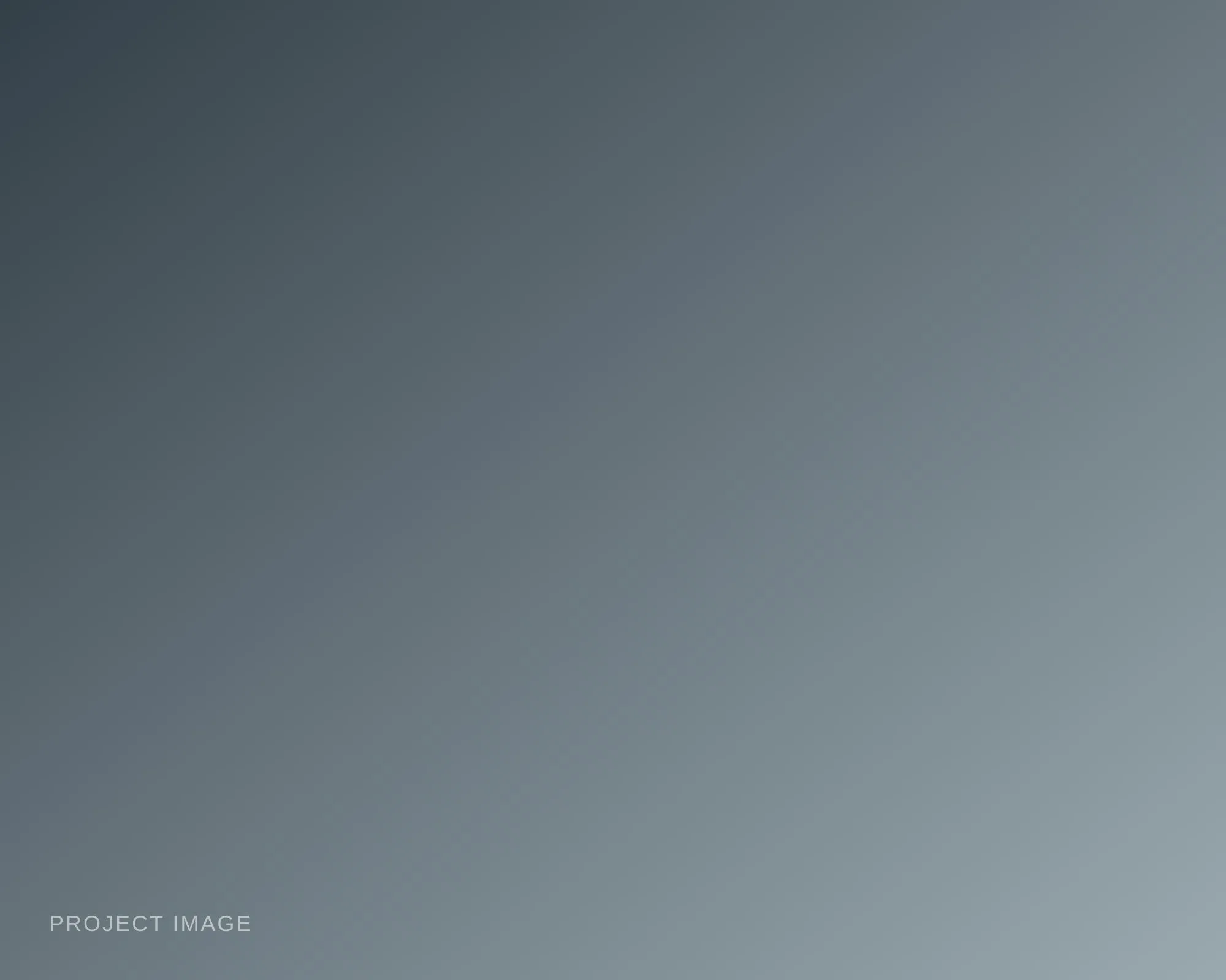 Placeholder — describe this image