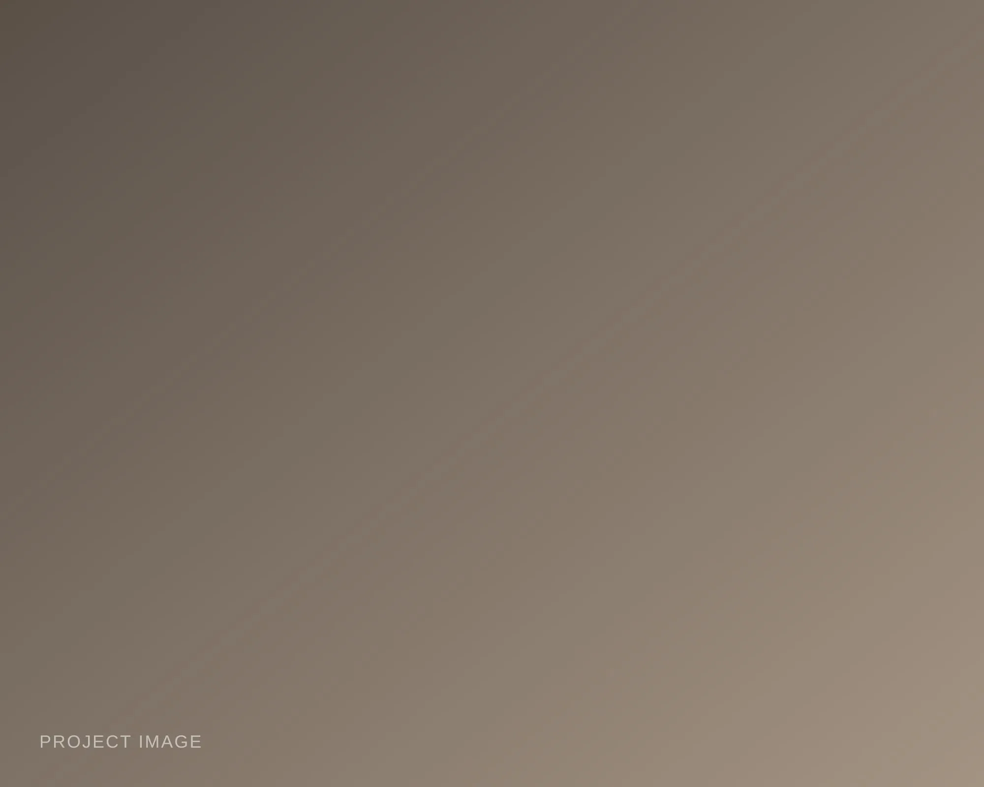 Placeholder — describe this image