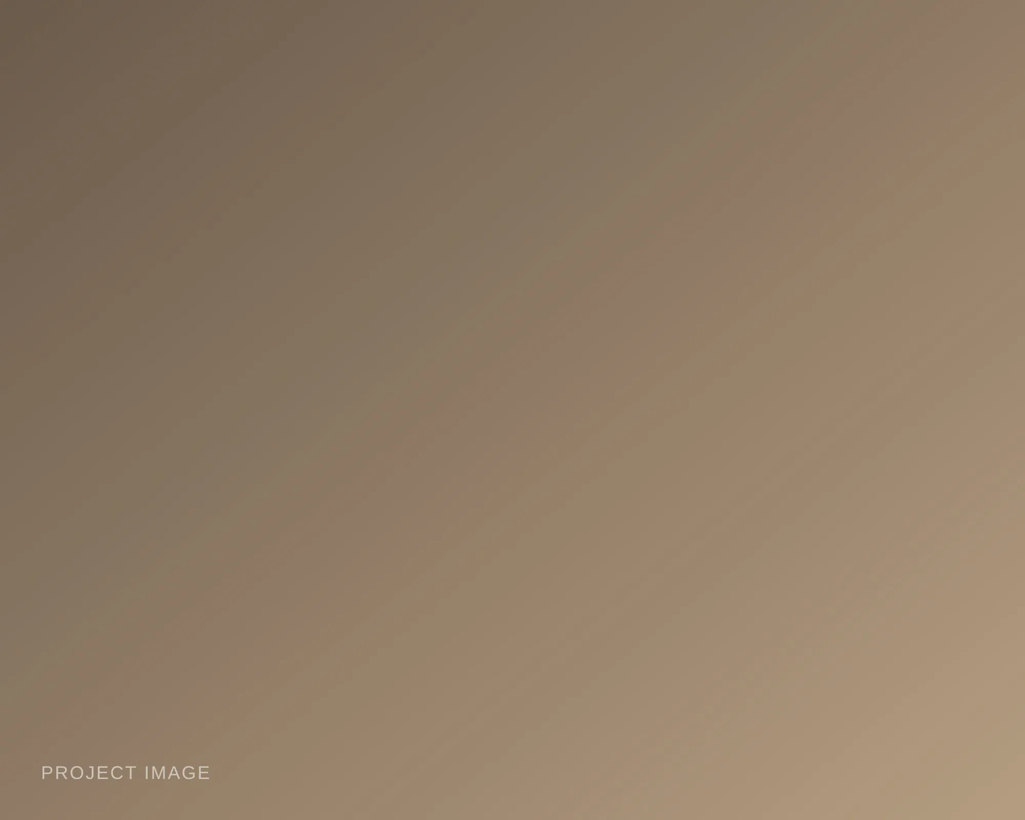 Placeholder — describe this image
