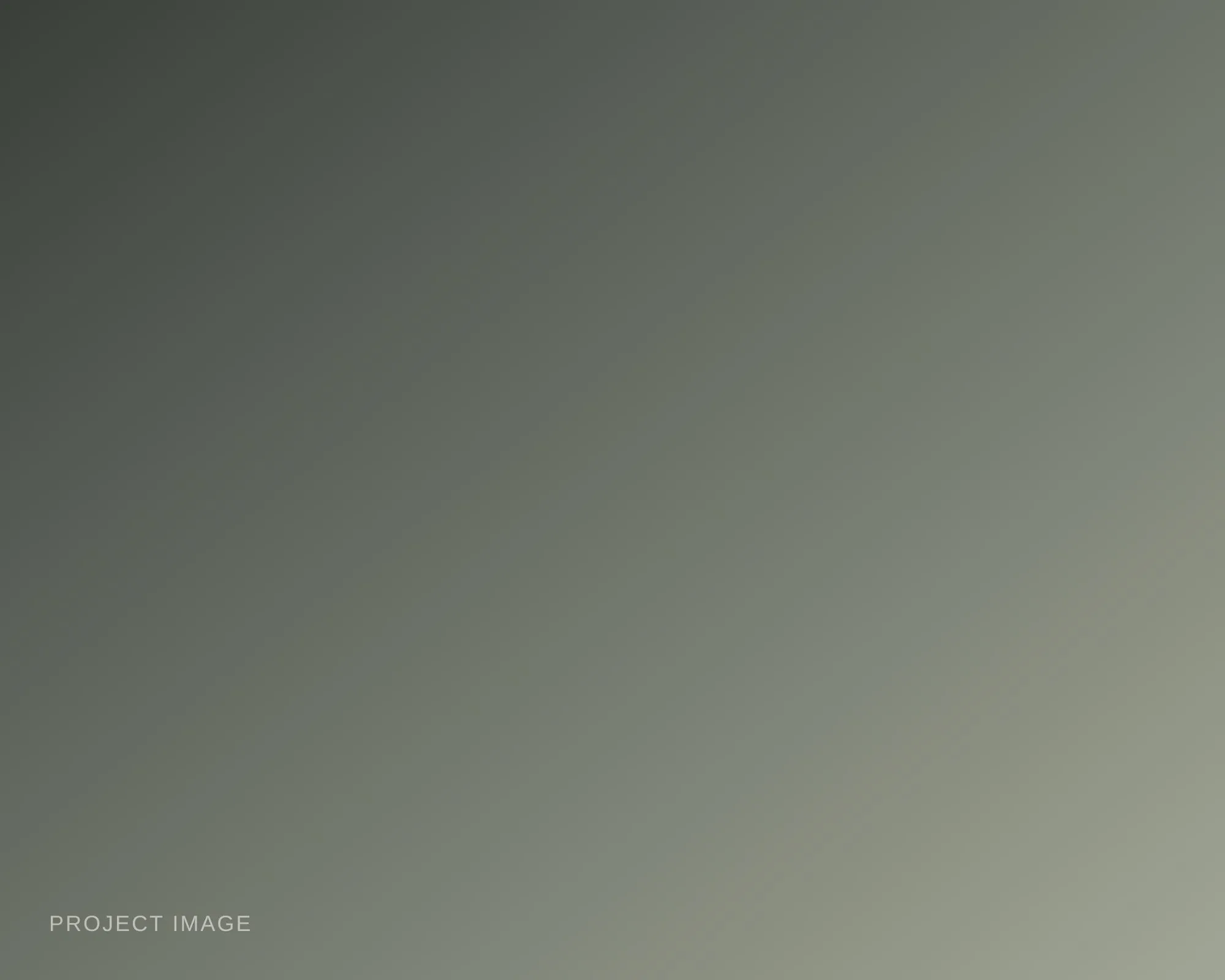 Placeholder — describe this image