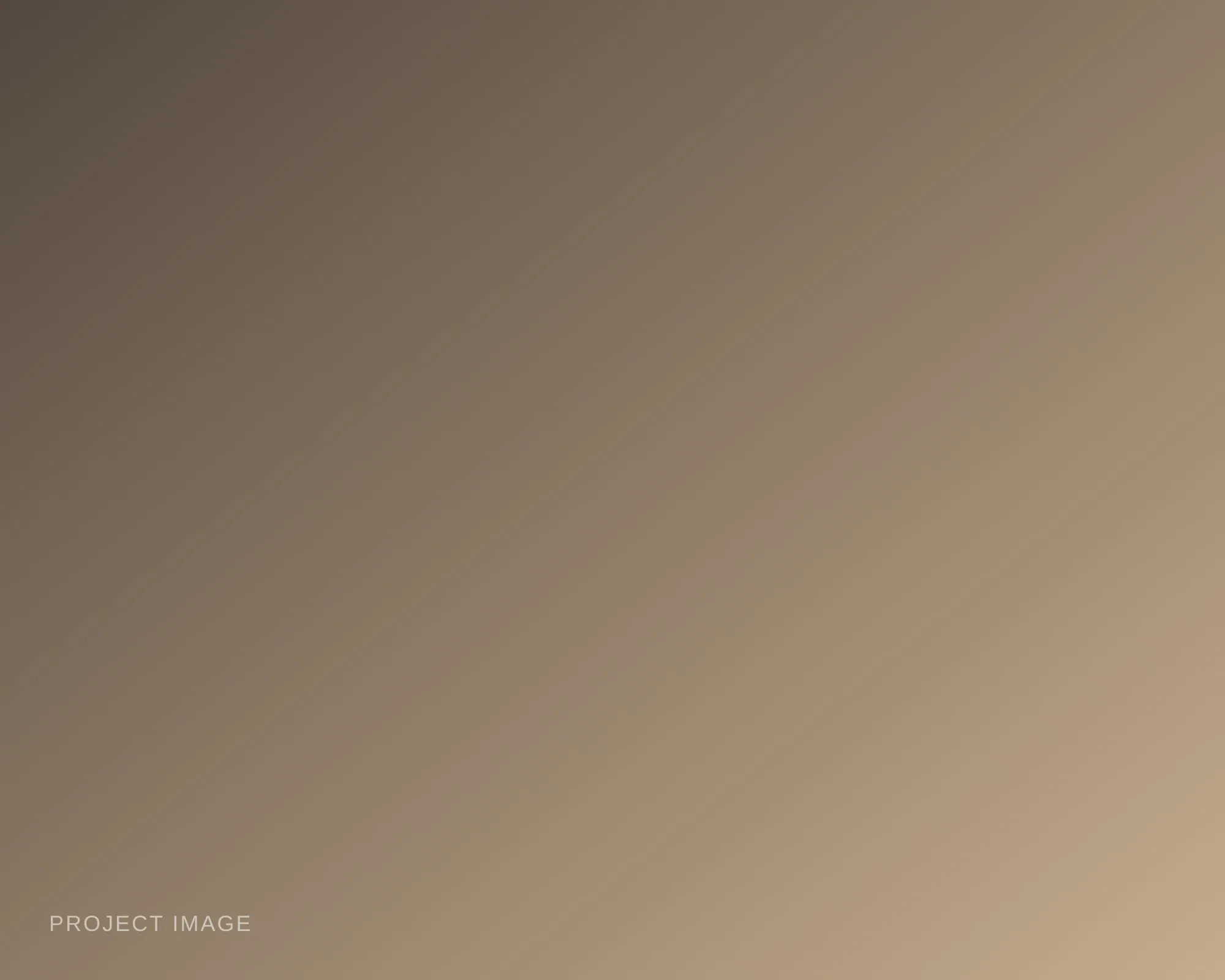 Placeholder — describe this image