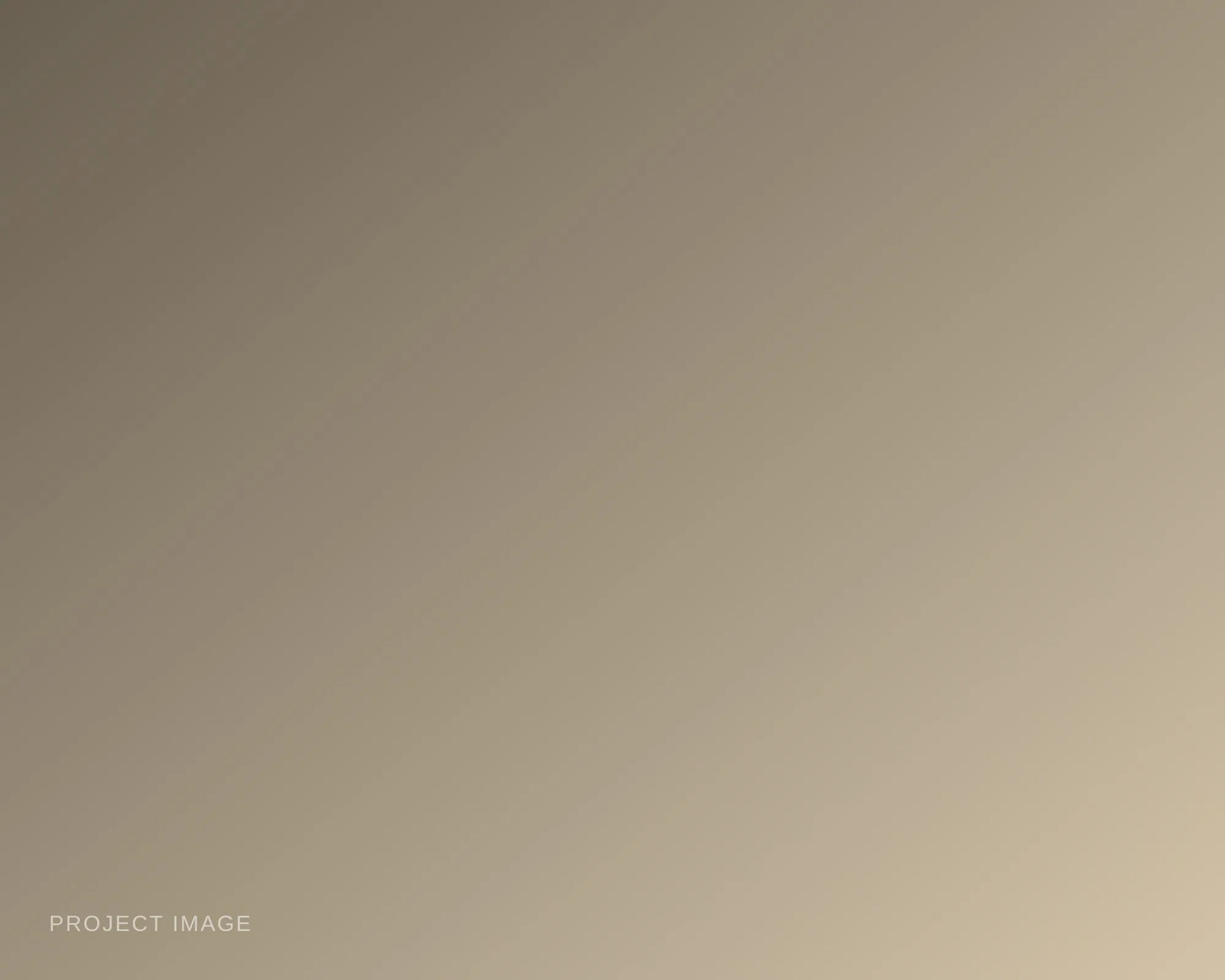 Placeholder — describe this image