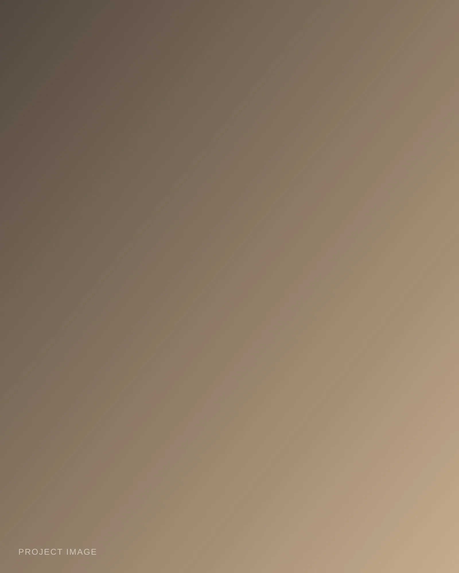 Placeholder — describe this image