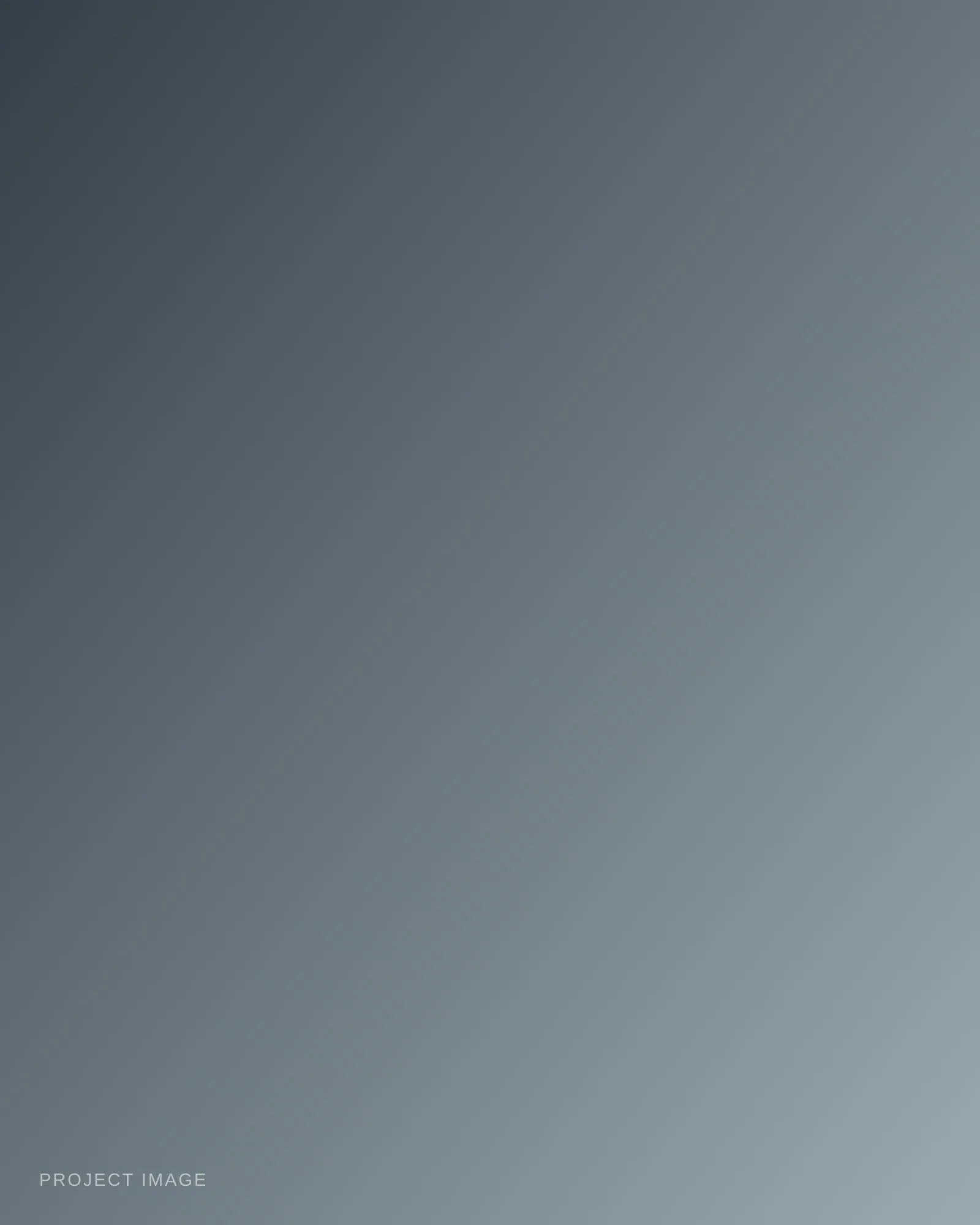 Placeholder — describe this image